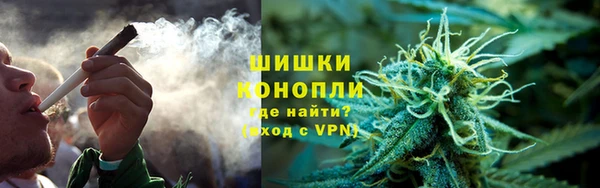 стафф Бородино