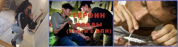 гидра Богородск