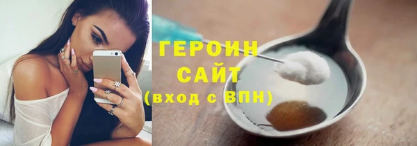гидра Богородск