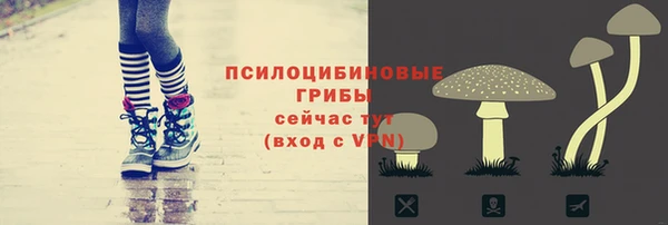 гидра Богородск