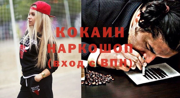 стафф Бородино