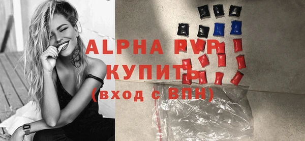 стафф Бородино