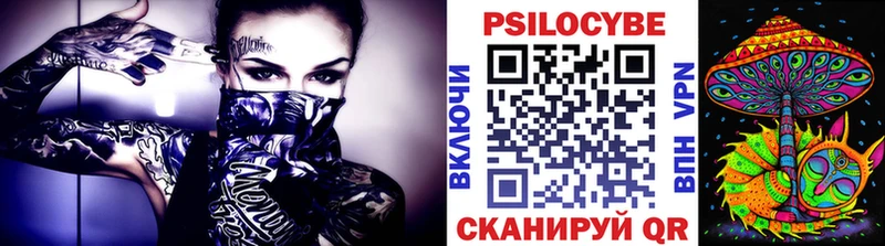 Псилоцибиновые грибы Psilocybine cubensis  как найти закладки  Белово 